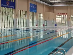 建造一个标准泳池的费用是多少？